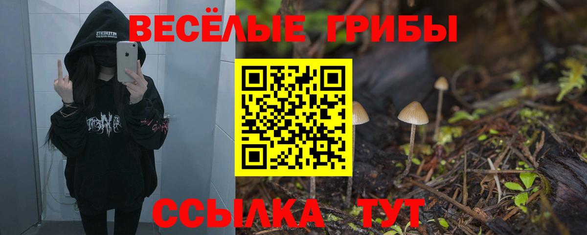 Псилоцибиновые грибы ЛСД  Вход с VPN  Ижевск 